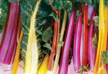 Garden Recipe: Braised Rainbow Chard Image